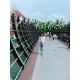 รูปภาพของ Nongbew