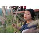รูปภาพของ Natta