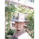 รูปภาพของ Sumruay