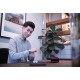 รูปภาพของ Arefvee