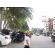 รูปภาพของ koykoy