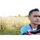 Sdee