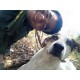 รูปภาพของ baros