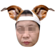 HelloKevin
