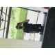 รูปภาพของ Wee