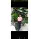 รูปภาพของ PUIPUIIZYy