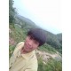 Fandee