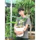 รูปภาพของ Nut