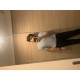 รูปภาพของ Peach