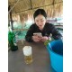 รูปภาพของ Jajah
