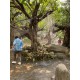 รูปภาพของ Vera