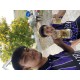 Aom94