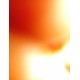 Jiran