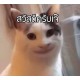 ZenkaSNK