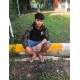 Mster90