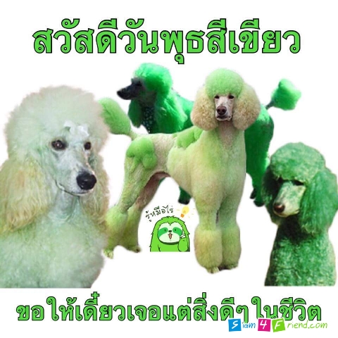สวัสดีวันพุธสีเขียว มีความสุขมากๆนะ55