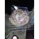 หิวกันไหม?