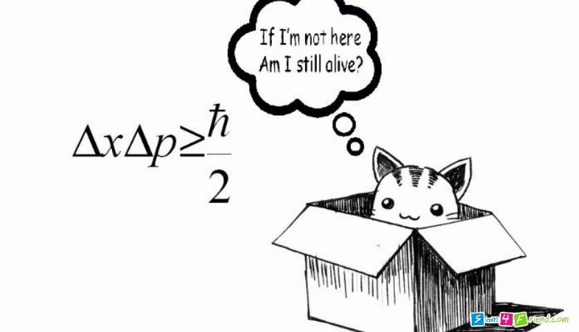 Schrödinger's Cat