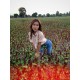 เป็นดี้ หาเพื่อน ทอม คุยนะคะ คุยได้หมด ไอดีไลน์ onpriya1997