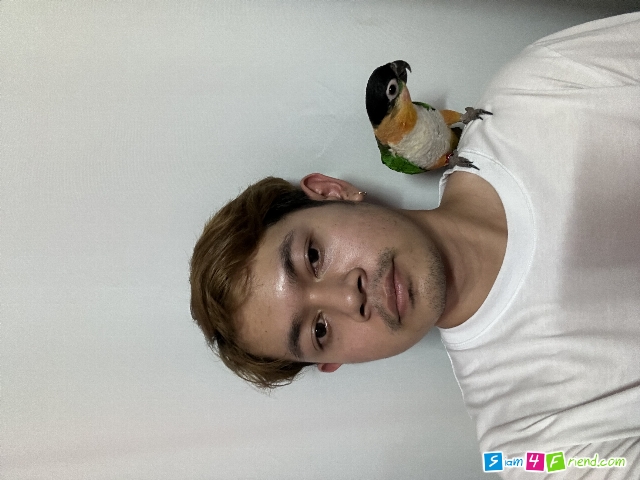 เป็นรับนะค้าบ